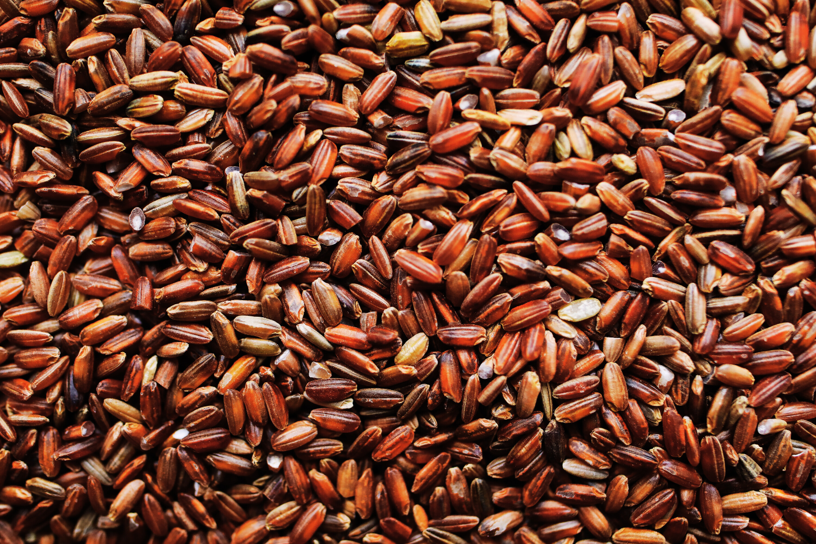 Brown_rice.png