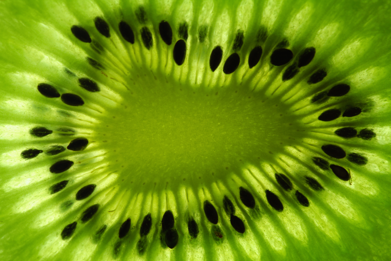 Kiwi_seed_oil.png