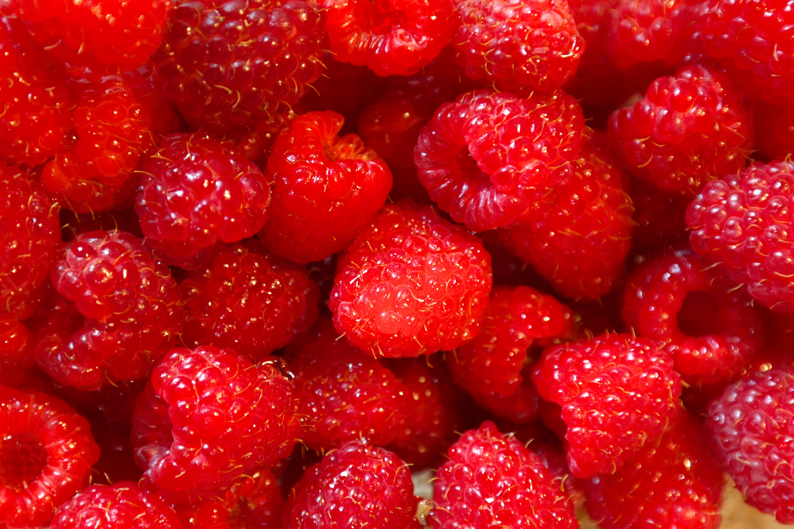 Raspberries.png