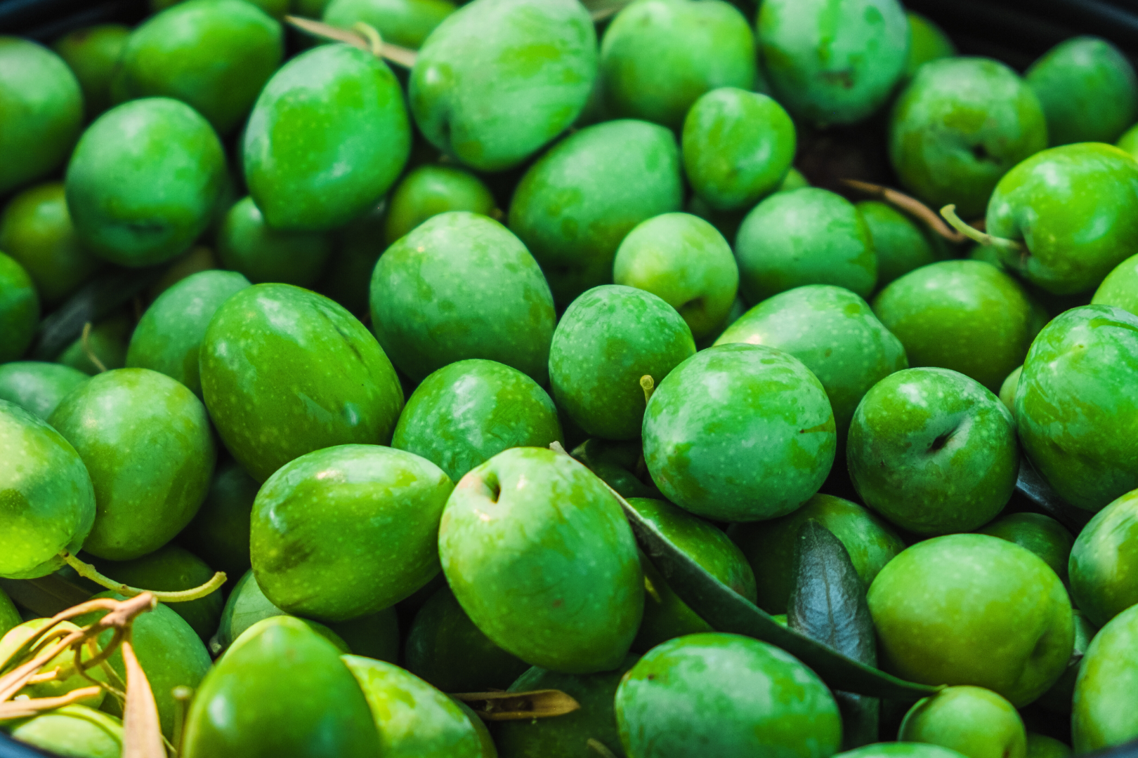 Untitled_design_6_091e09b1-0671-4622-be93-f6b08aee651e.png